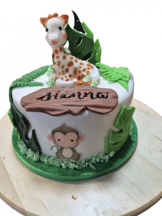 Whatsapp image 2025 07 11 at 212155